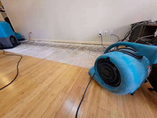 Professional Structural Drying technician working in Wayne, WV